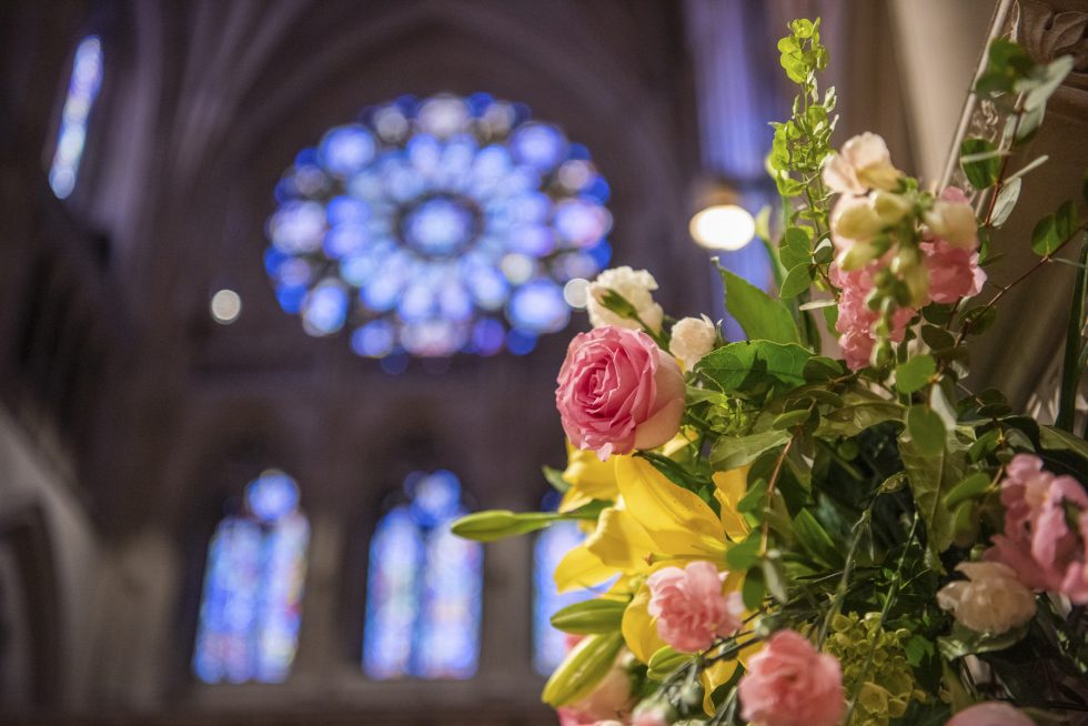 Cathedral's North Rose Window with Easter flowers in the foreground