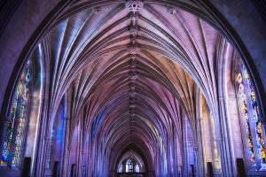 Vaulting in the Cathedral, bathed in colorful light flooding in from the stained glass windows