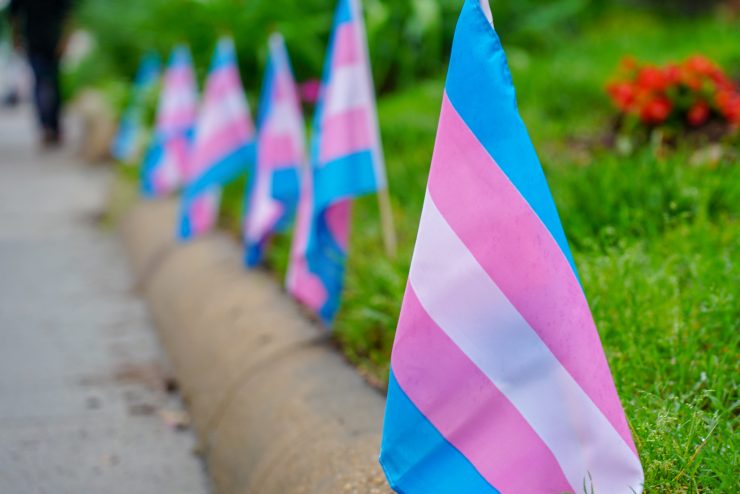 trans flags on a sidewalk