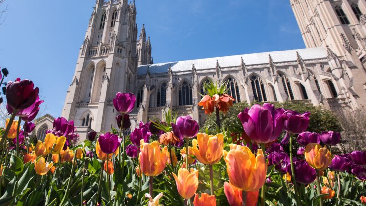 Washington National Cathedral — Axias