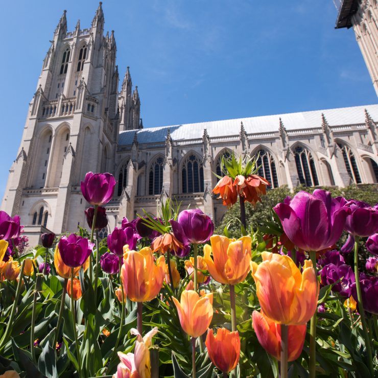 Washington National Cathedral — {{ shop }}