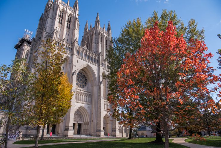 Two front towers of the Cathedral behind several trees with yellow, red, and green leaves.