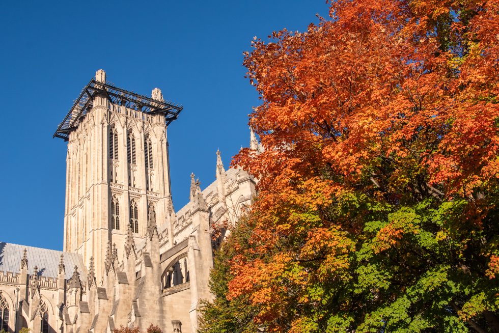 Bright orange tree against a clear blue sky and the Cathedral's central tower.