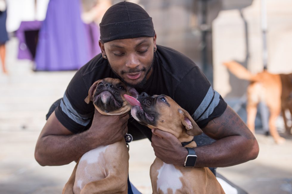 A man crouches behind two puppies, hugging them close.