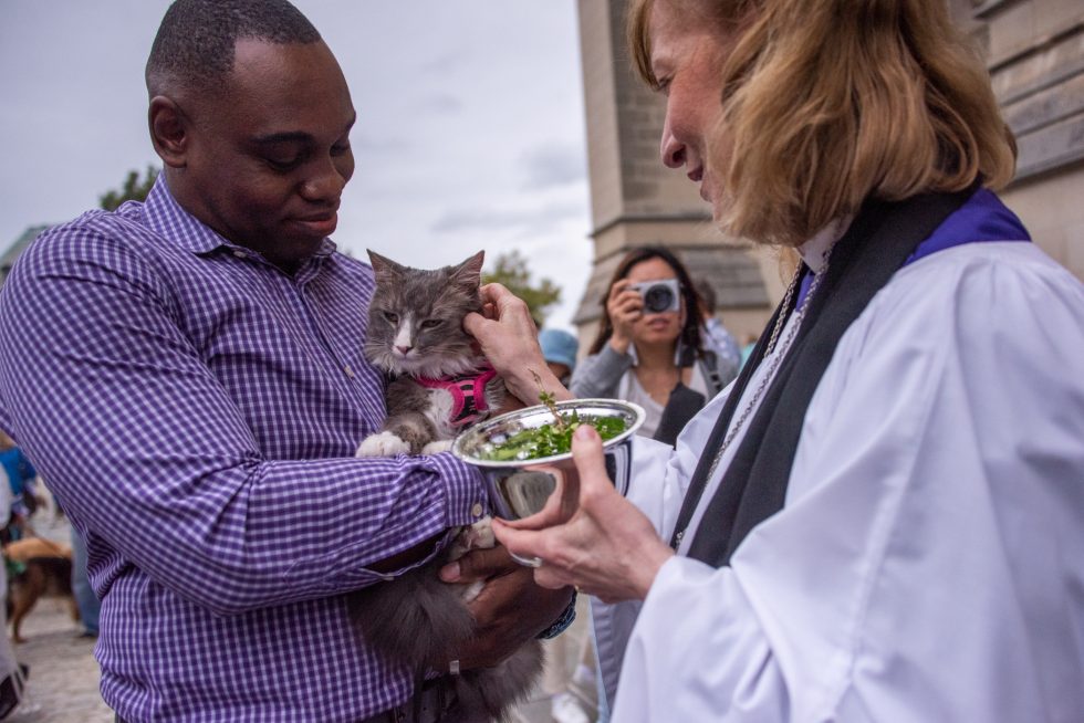 A man holds a gray and white cat while a clergy person pets the cat.