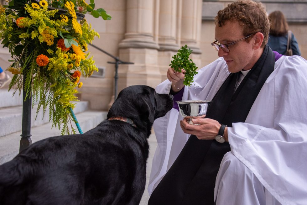 A clergy person kneels down to sprinkle holy water on a black dog.