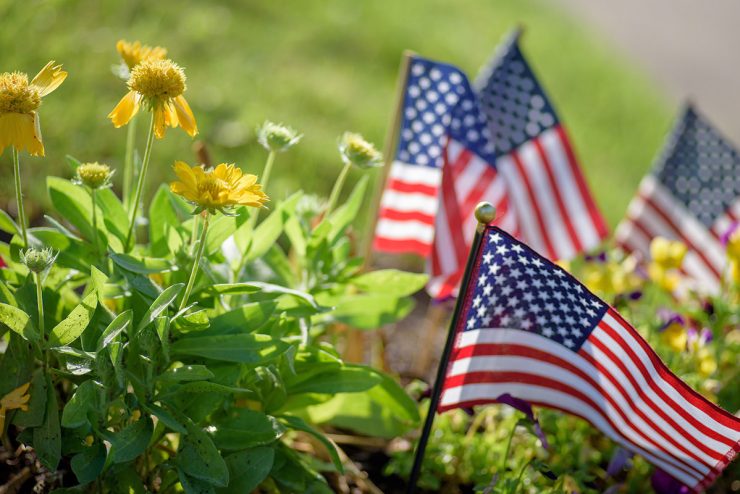 American flags amidst summer flowers