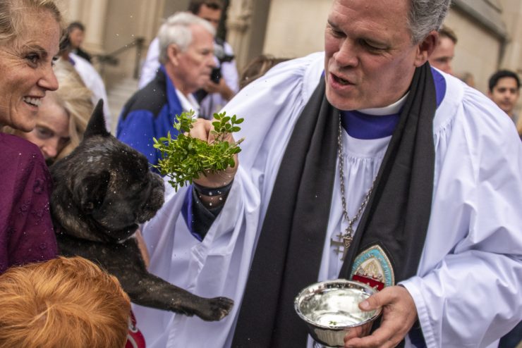 Dean Hollerith blessing a dog with people looking on during Blessing of the Animals service